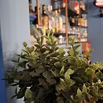 Pretoria Collection